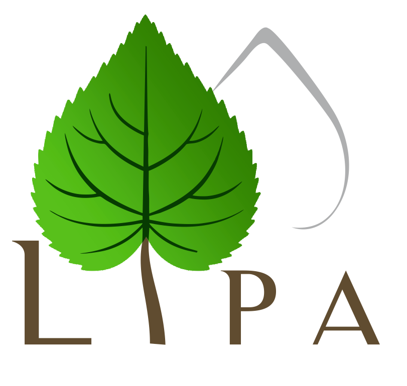 Logo LIPA