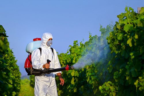 Održiva uporaba pesticida